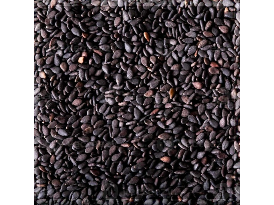 Semilla Sesamo Negro