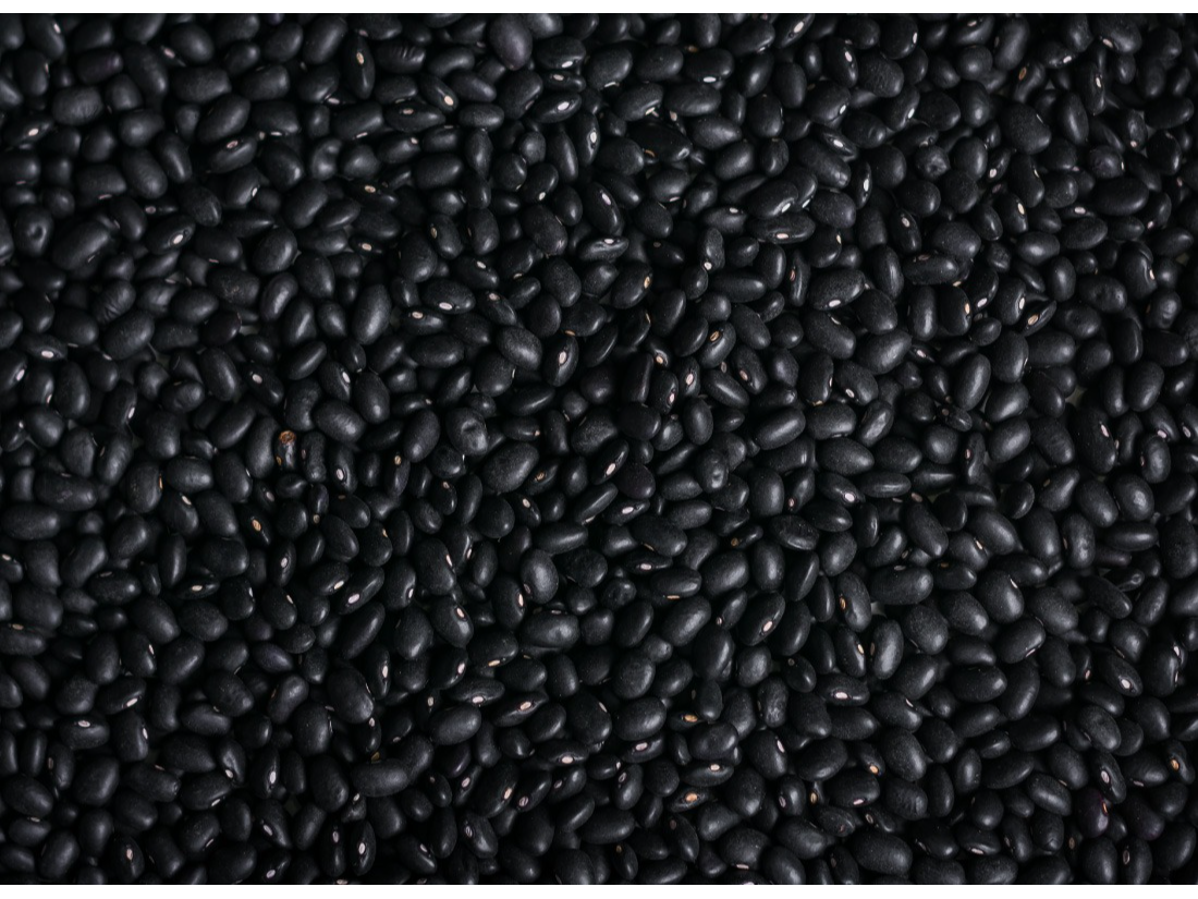 Poroto Negro