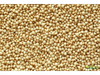 Semilla Amaranto