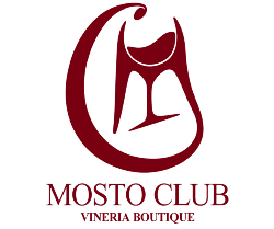 Logo mostoclub