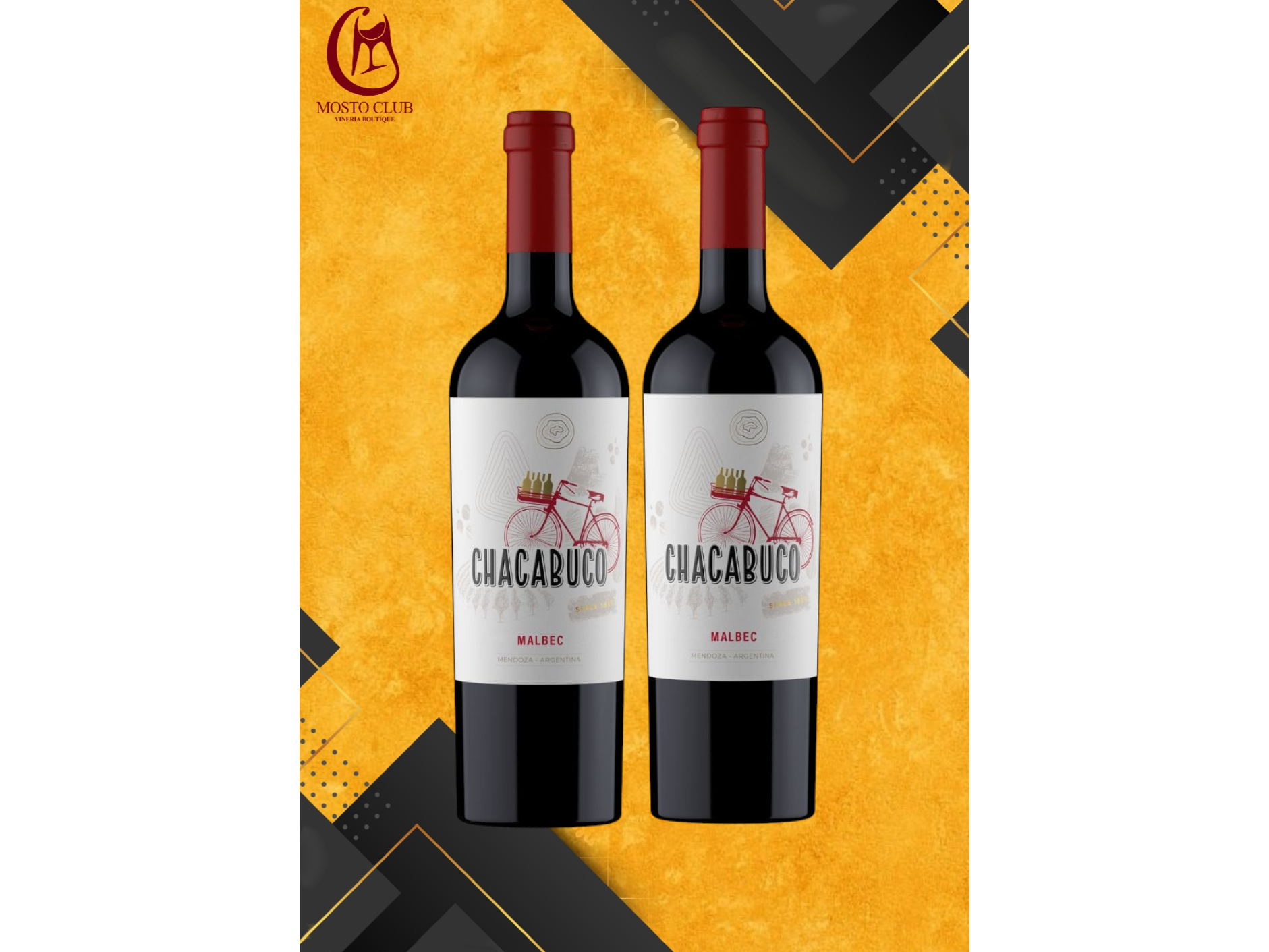 Promo vinos Malbec