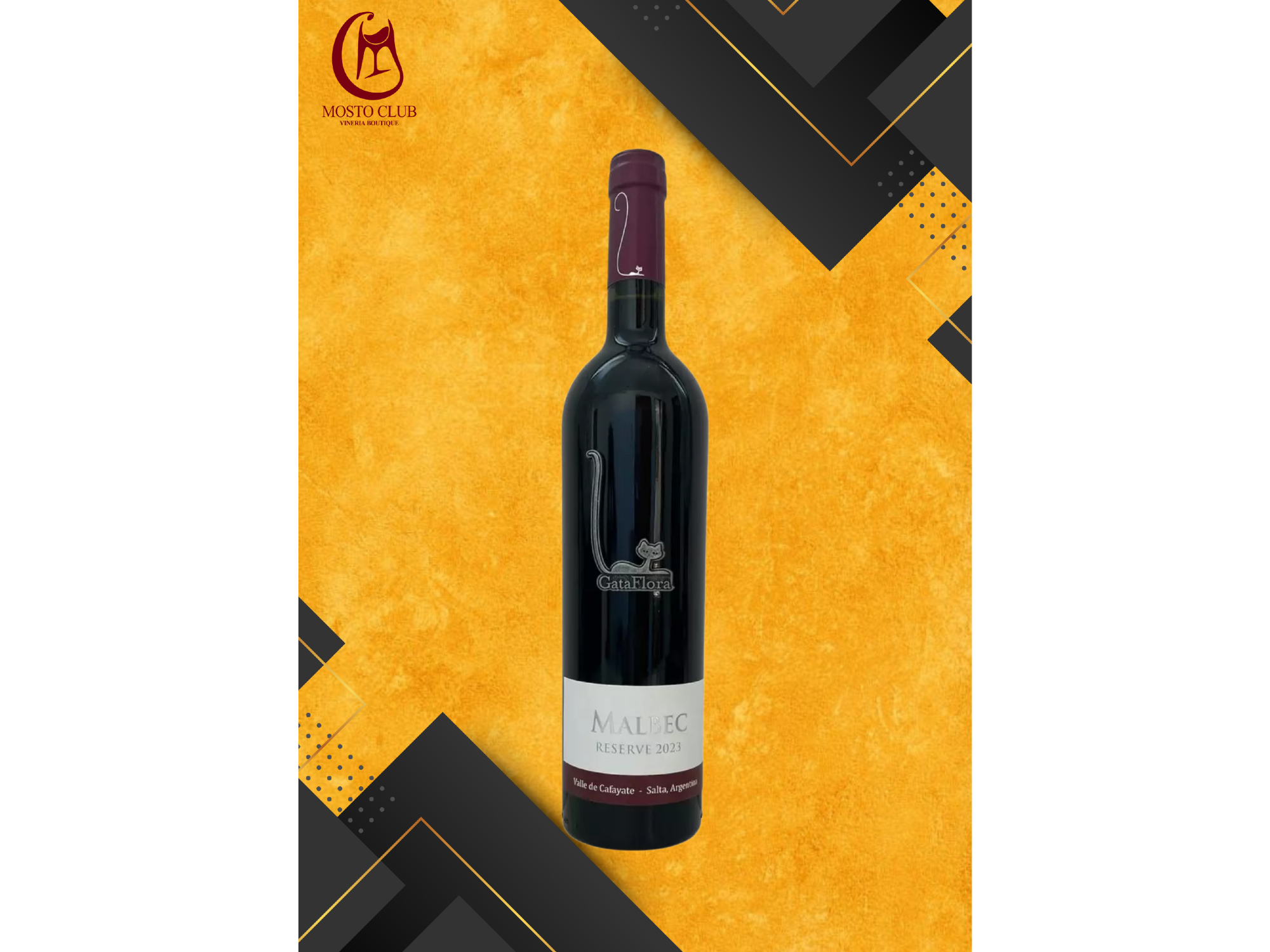 Bodega Vasija Secreta (gata flora)