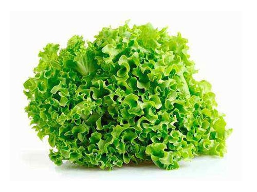 Lechuga rulito