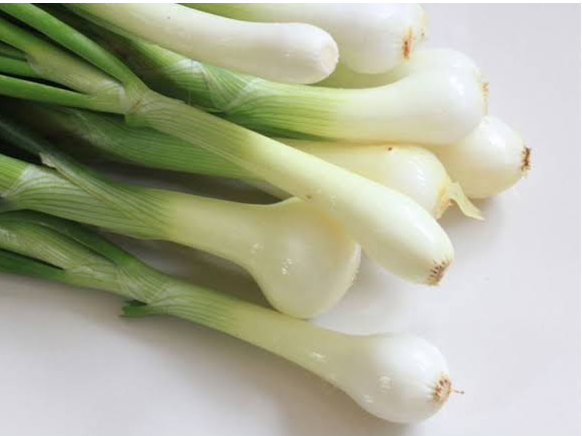 Cebolla de verdeo