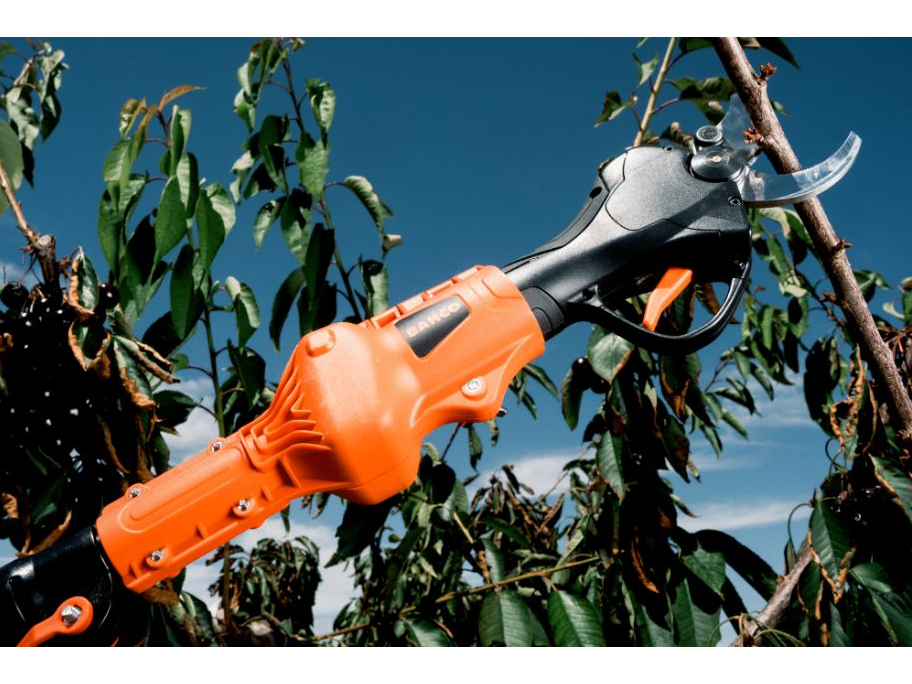 TIJERA PODAR BAHCO A BATERIA - PERTIGA TELESCOPICA BCL25TP