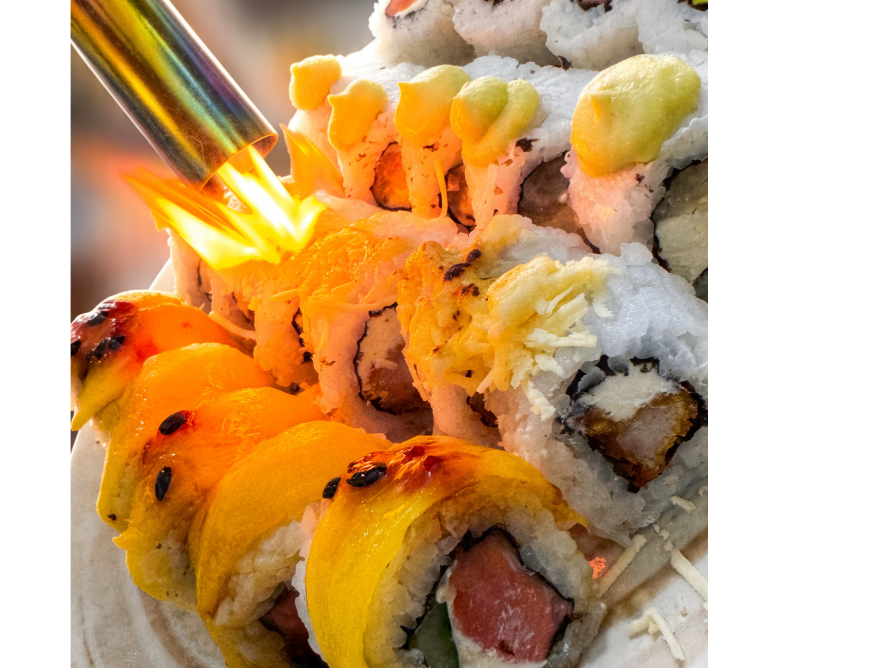 15 Piezas Armalo de Sushi Ramona