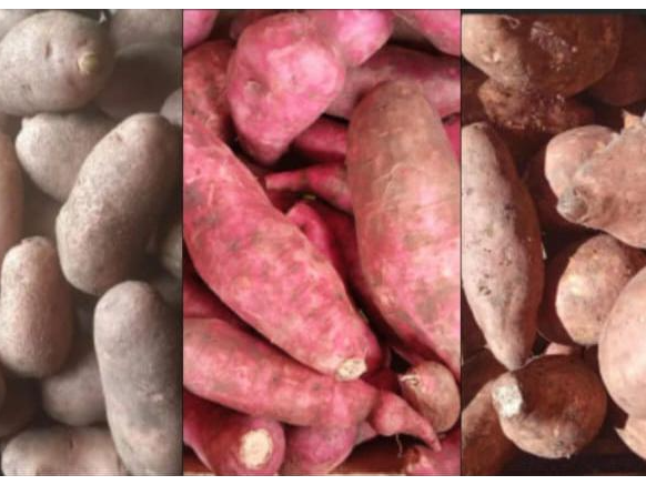 Combo Pesado 2: Papas 1k + Batatas 1k+ Boniatos 1k
