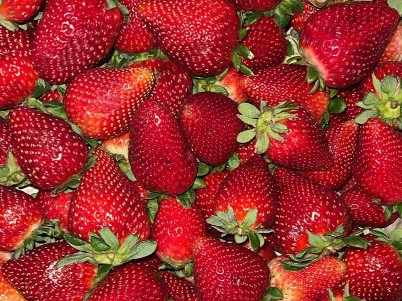 Frutillas