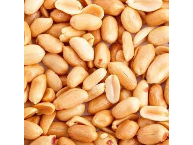 Mani tostado pelado con / sin sal x 500gr