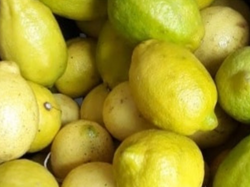 Limones 1k aprox.
