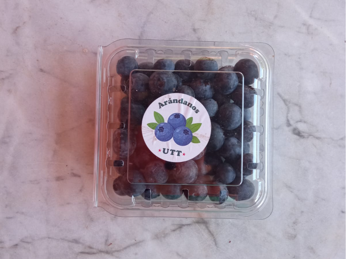 Arándanos 125g