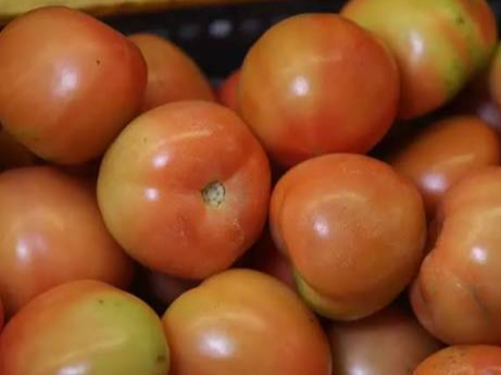 Tomates Redondos 1k