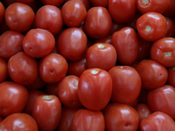 Tomates Perita 1k
