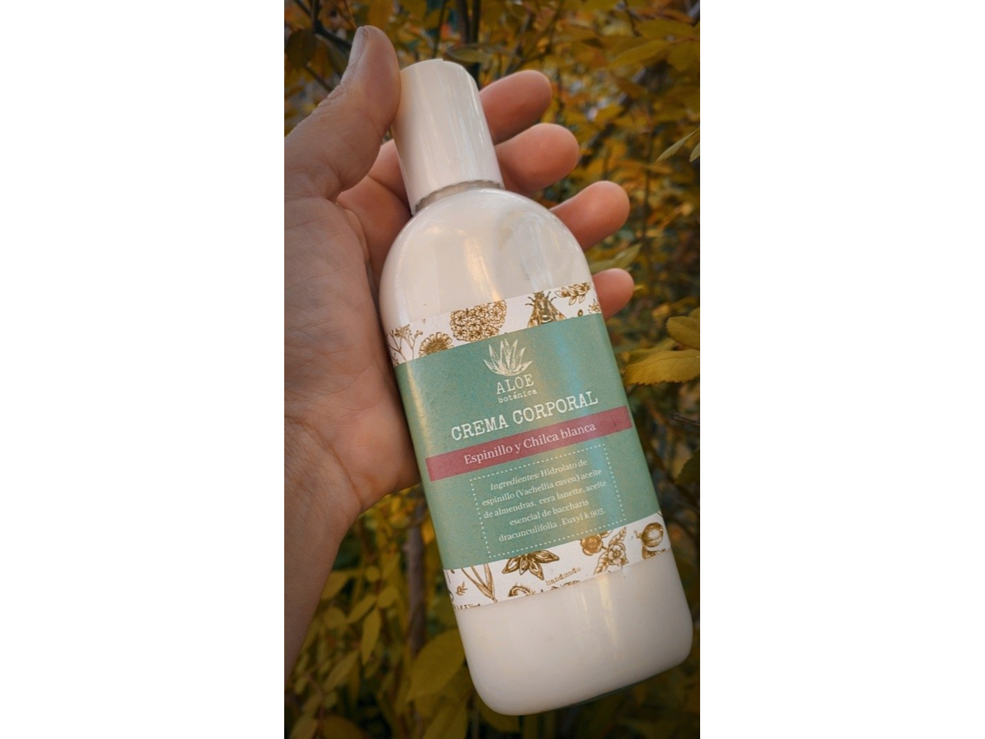 Crema corporal nativa Aloe Botanica 200ml