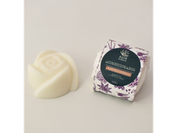 Acondicionador solido vainilla y karite Aloe Botanica 65gr