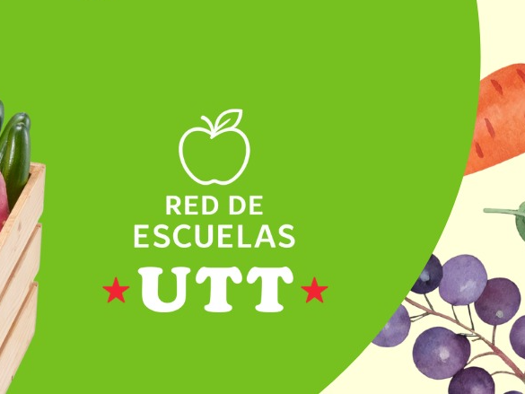 Bolsón Mixto 7k (Frutas + Verduras)