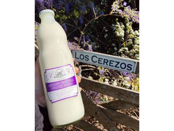 Yogurt frutos rojos envase retornable x 1lt - Los Cerezos