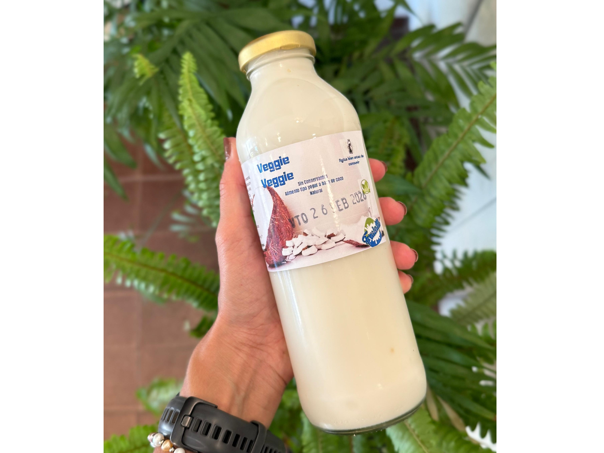 Yogur de Coco Frulatti