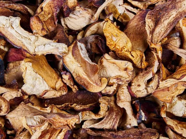 Hongos Bolletus de Pino