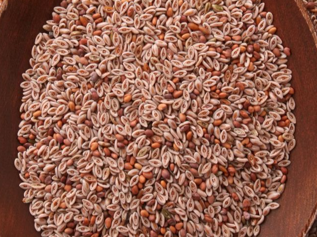 Semillas de Psyllium