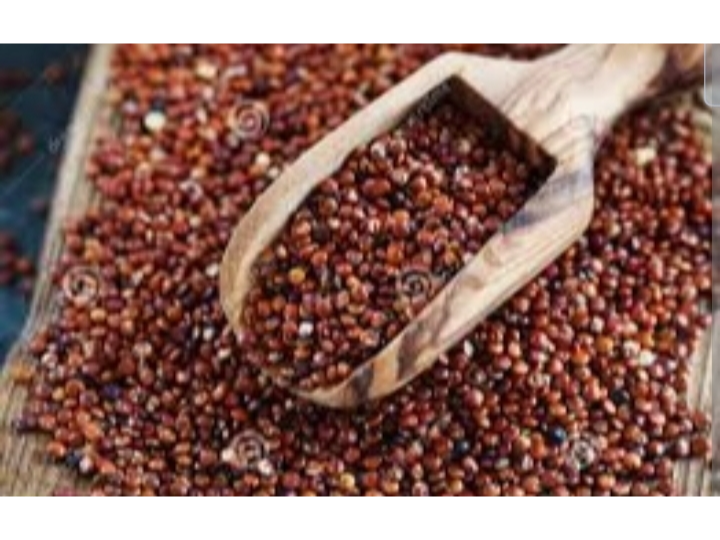 Quinoa roja