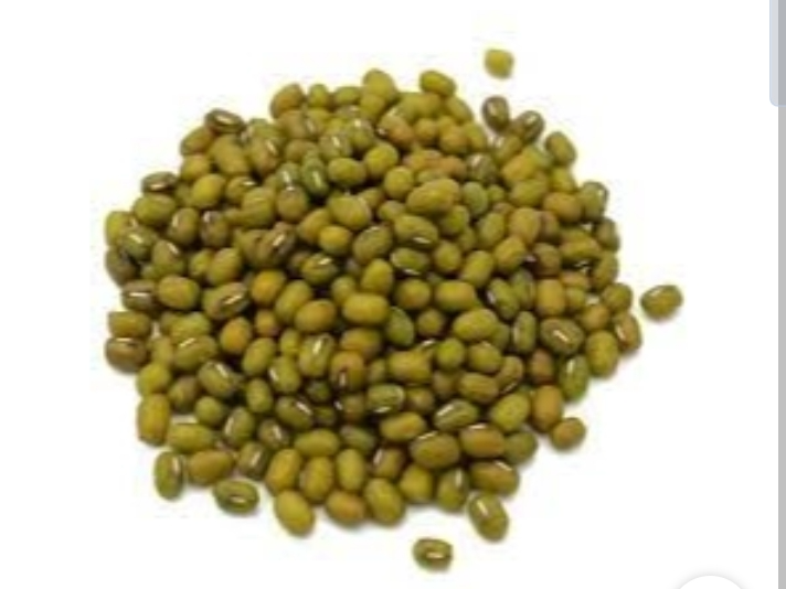 Porotos mung