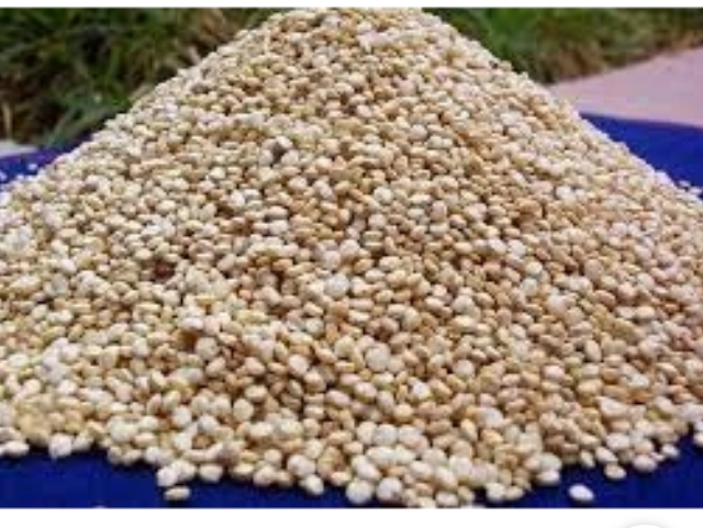 Quinoa blanca boliviana