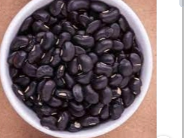 POROTO NEGRO