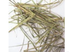 Lemon grass