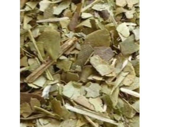 YERBA AJEDREZ PREMIUM