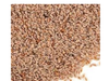Psyllium