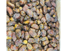 Datil Egipto con carozo