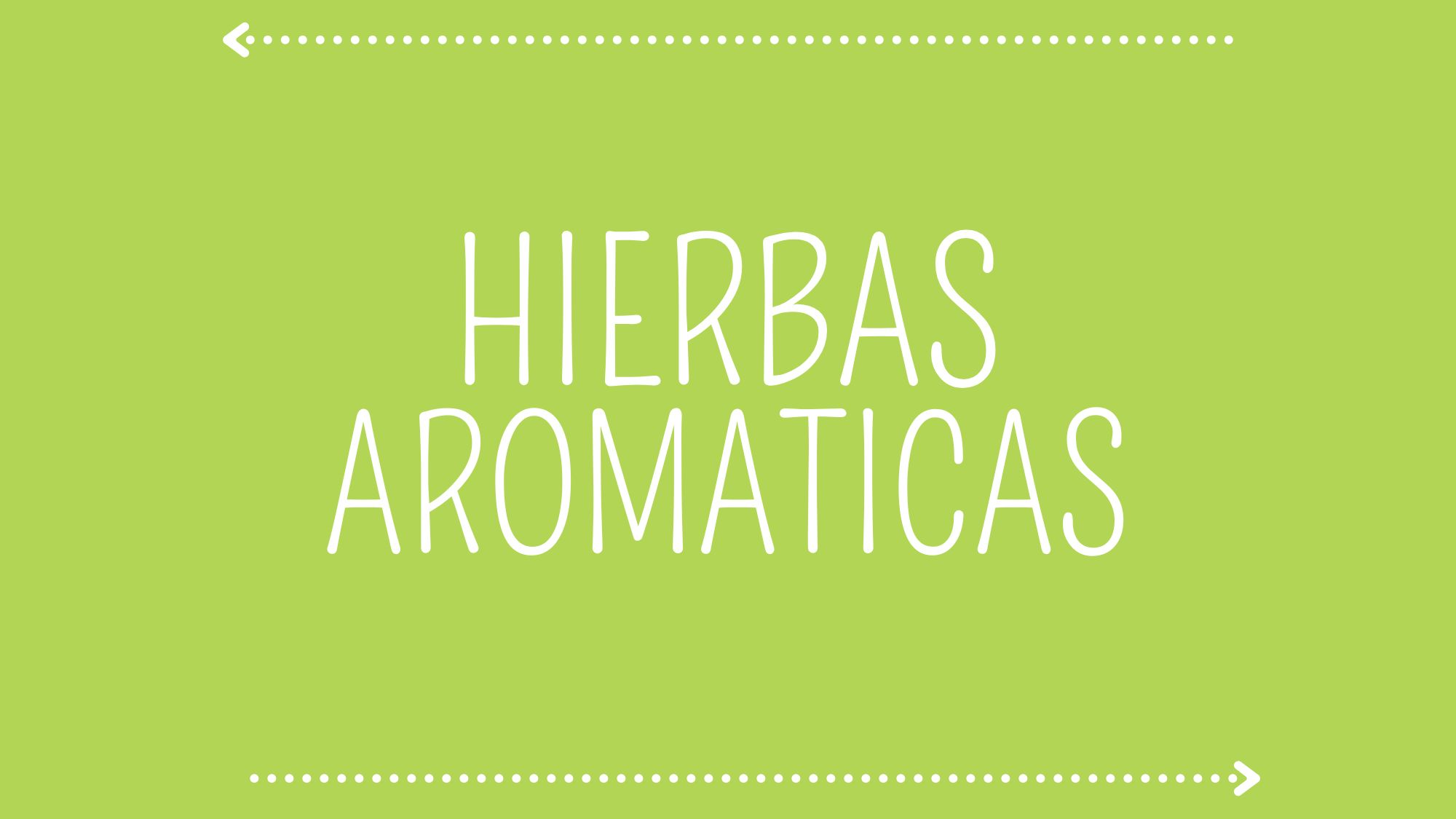 HIERBAS AROMATICAS yuyitos