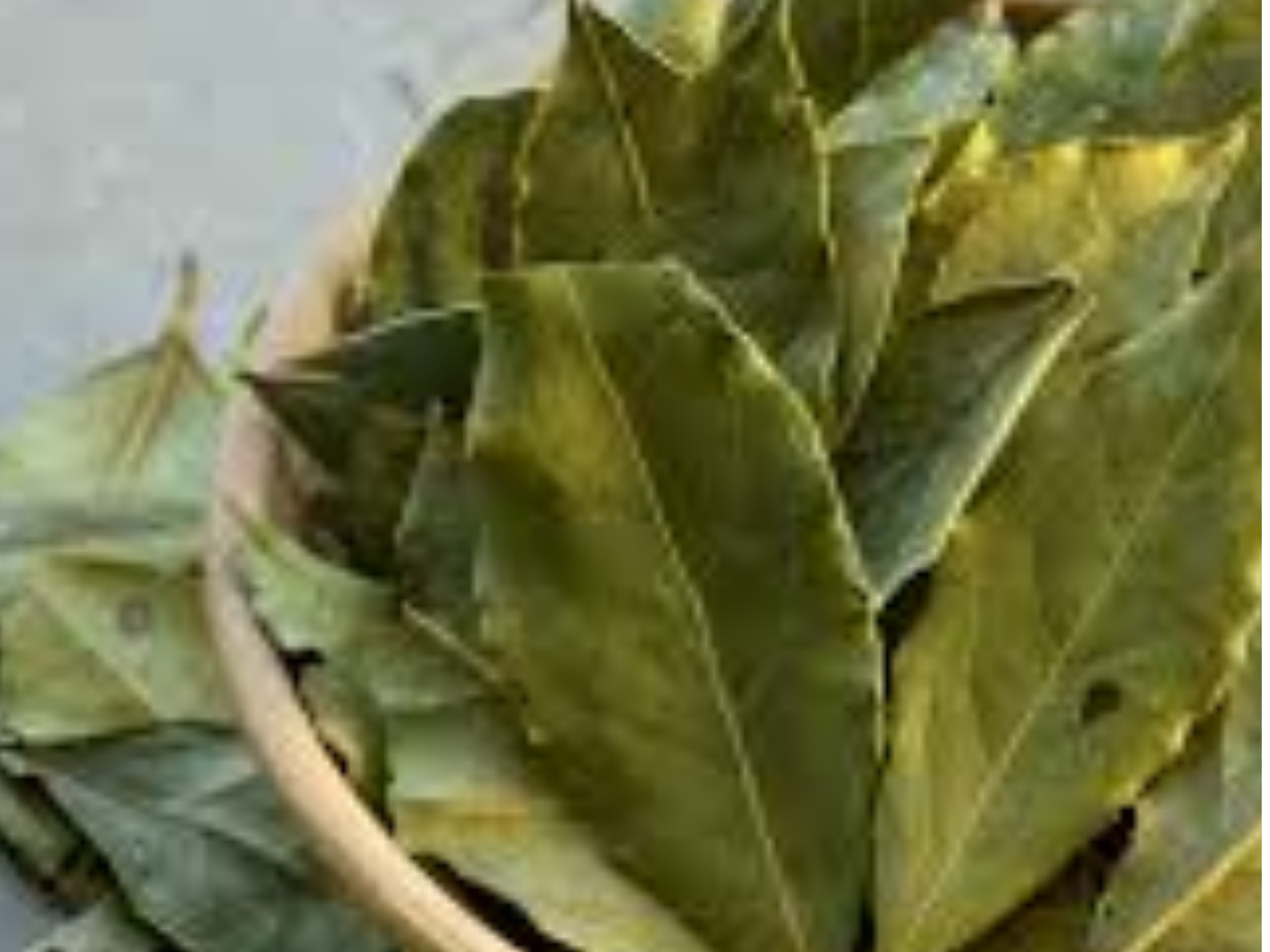 LAUREL