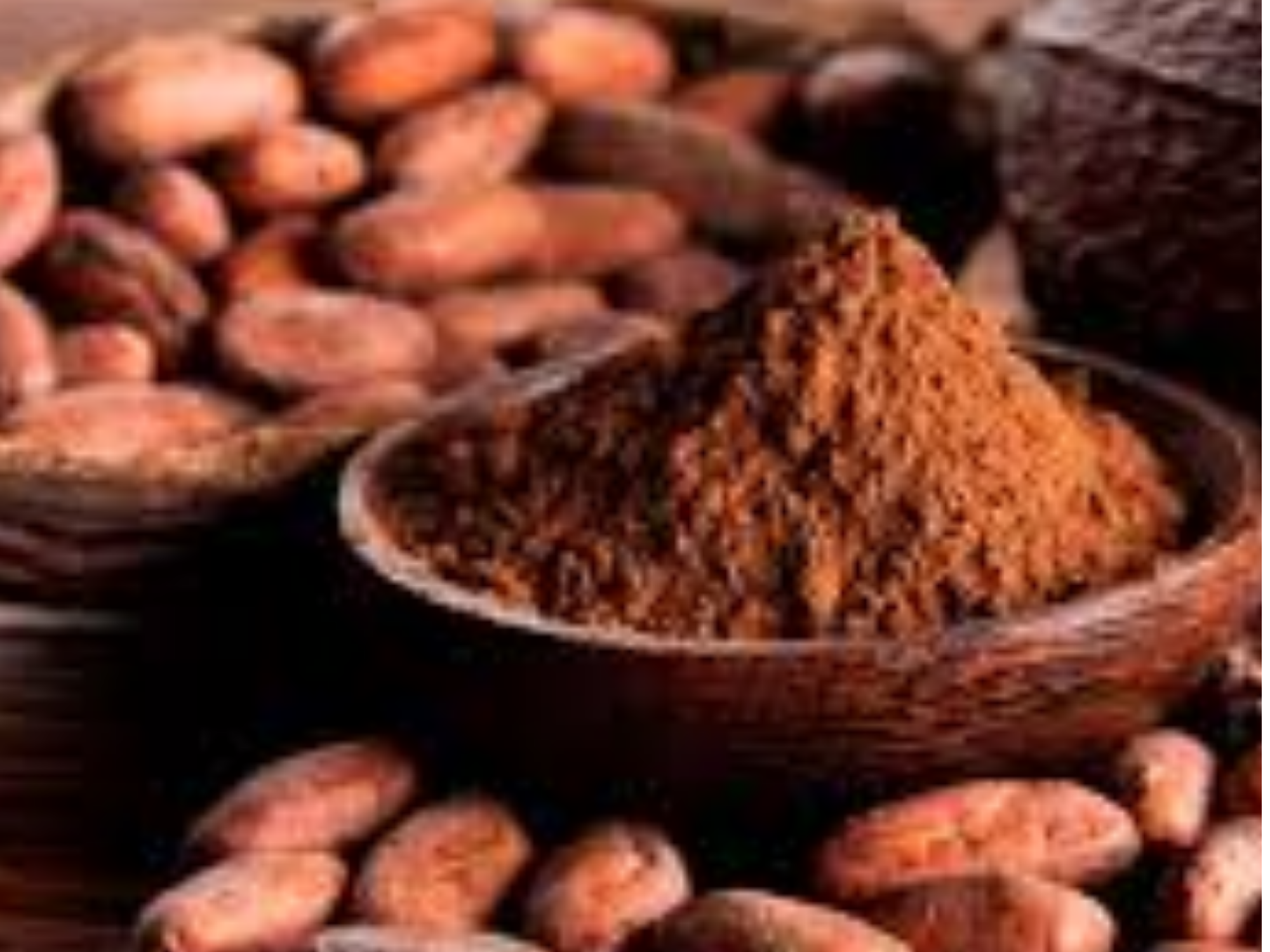 CACAO AMARGO ALCALINO PREMIUM