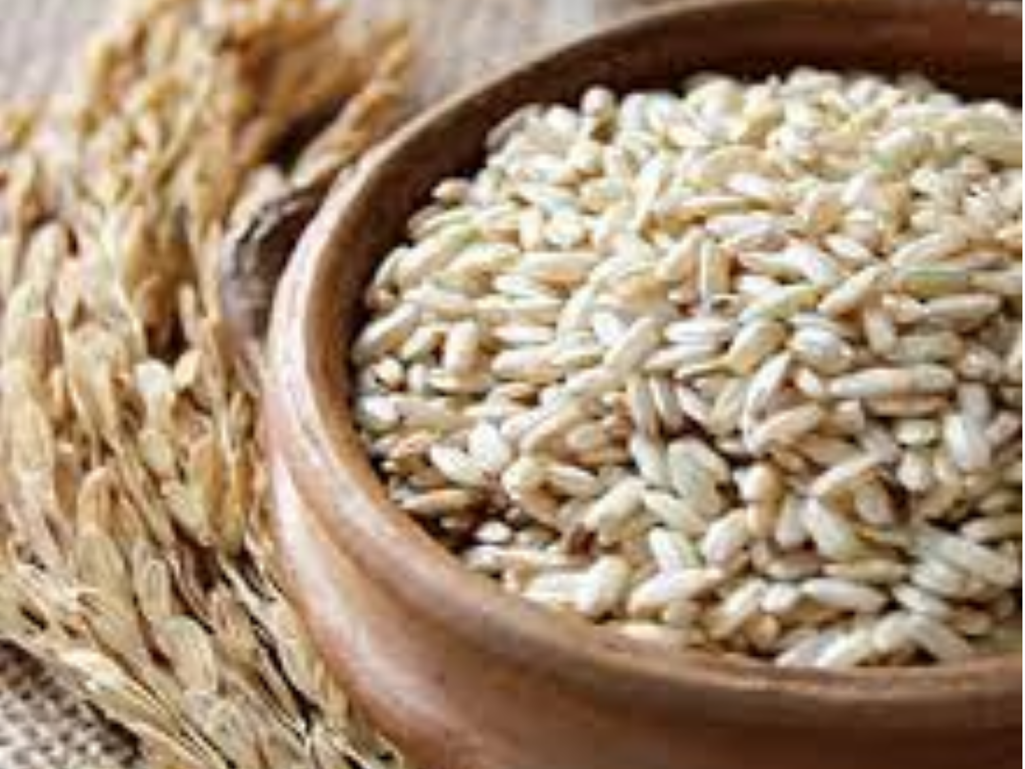 ARROZ INTEGRAL YAMANÍ