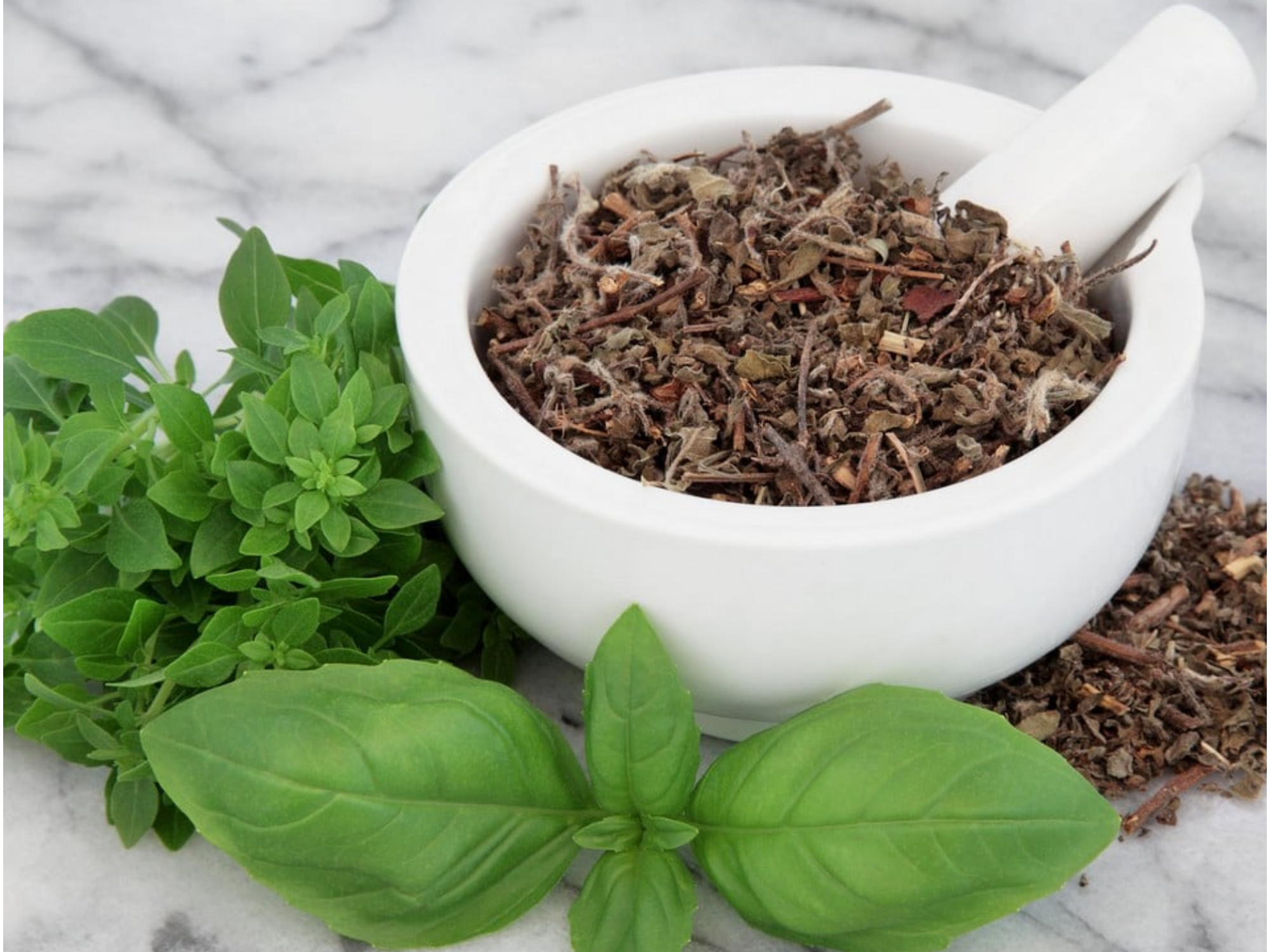 ALBAHACA