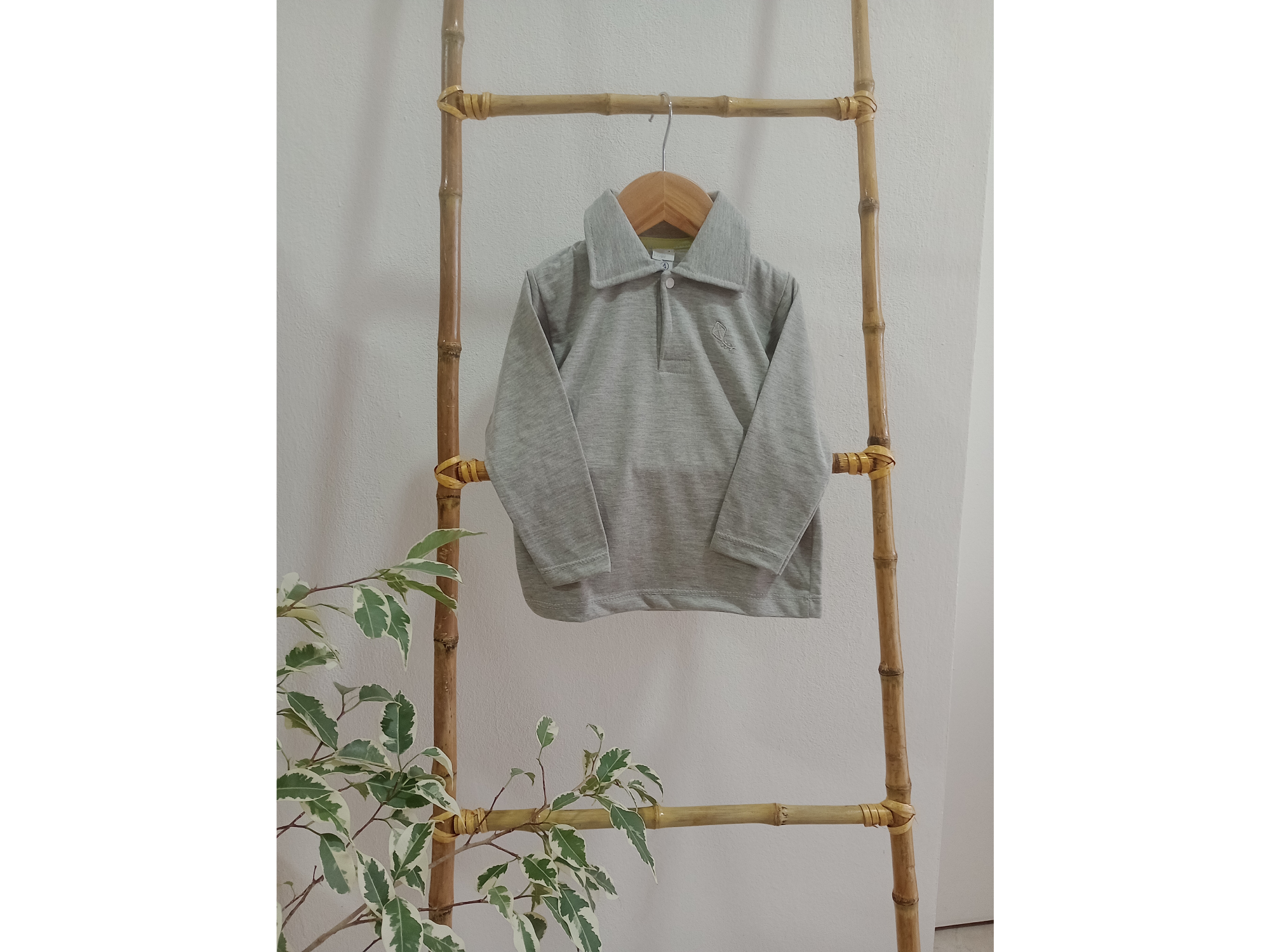 Chomba gris