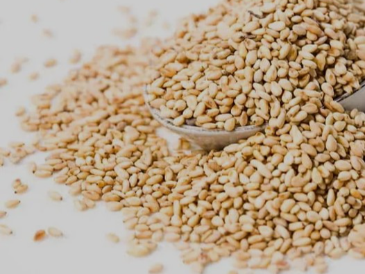 Semillas de sesamo blanco