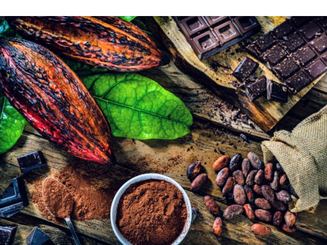 Cacao Amargo