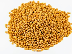 Mostaza en grano
