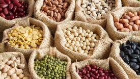 Legumbres y cereales