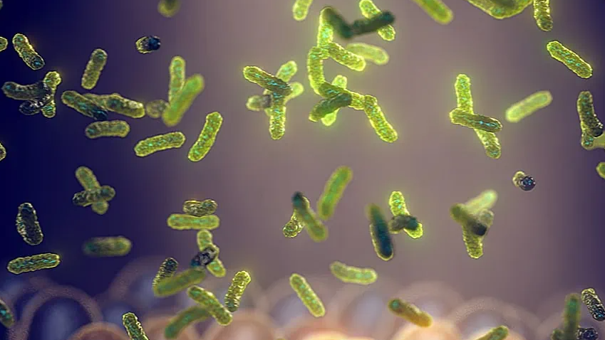 Probioticos
