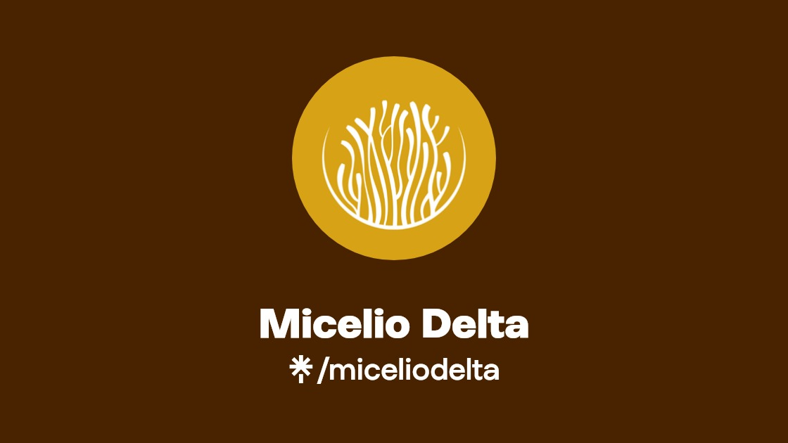 Hongos adaptogenos, en gotas.