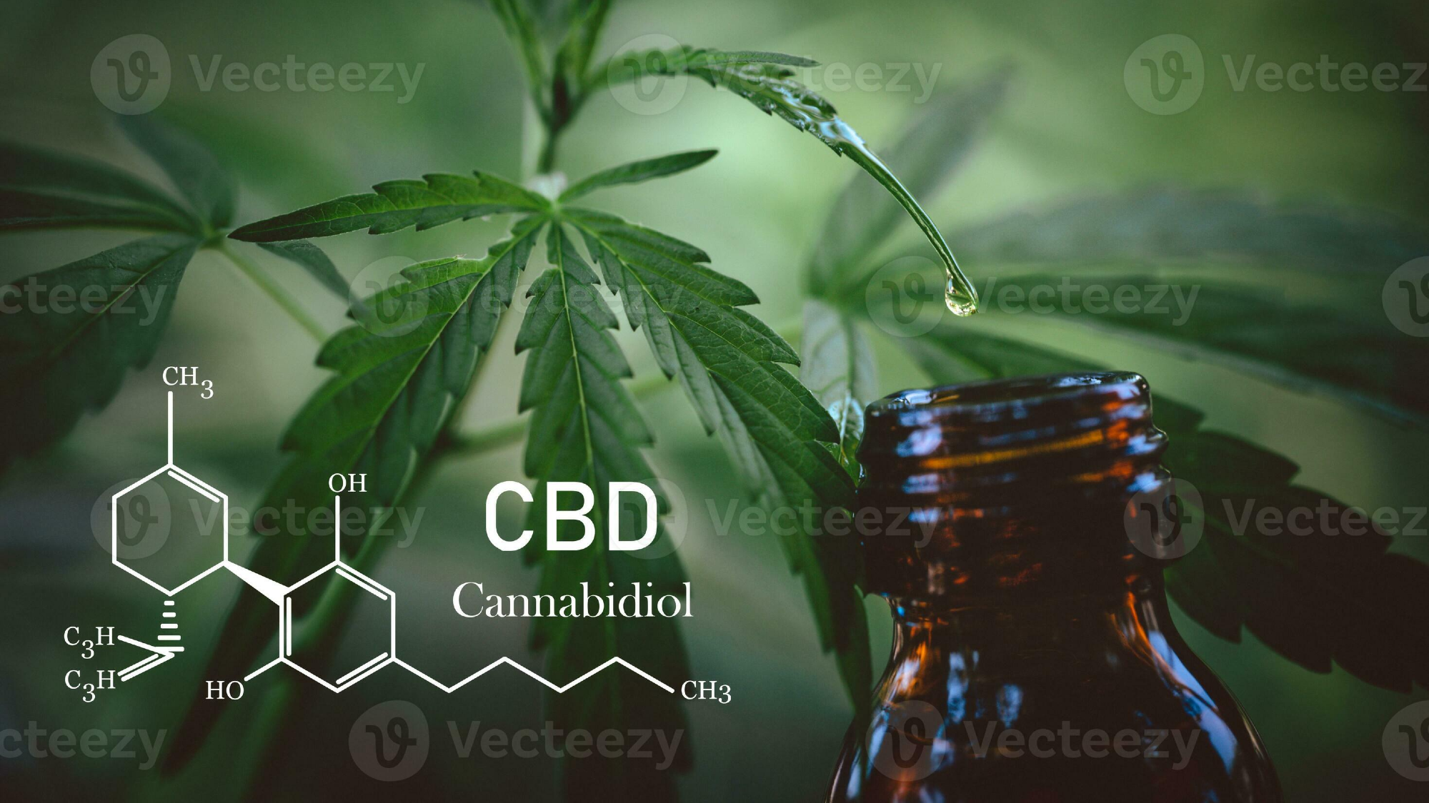 Gotas C.B.D. Cannabidiol