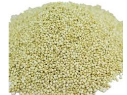 SEMILLAS DE QUINOA BLANCA