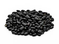 POROTO NEGRO