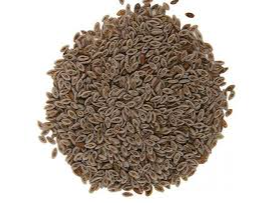 SEMILLAS DE PSYLLIUM