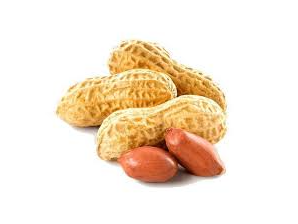 MANI CON CASCARA . PREMIUM