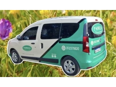 INFORMACION GENERAL AQUI.....